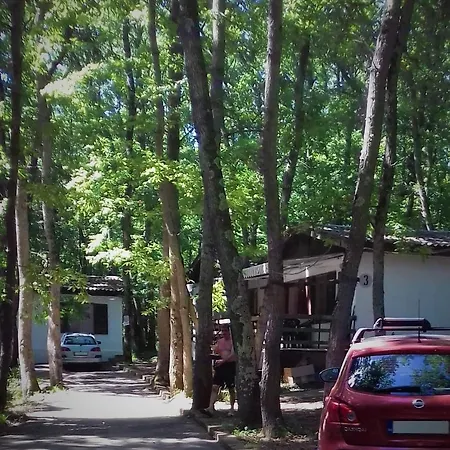 Dani Ferienpark *
